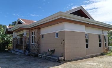 Brand new title 3 bedrooms 2 toilet and bath house in Lourdes Panglao Bohol