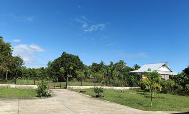 Brand new title 3 bedrooms 2 toilet and bath house in Lourdes Panglao Bohol