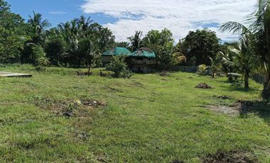 Brand new title 3 bedrooms 2 toilet and bath house in Lourdes Panglao Bohol