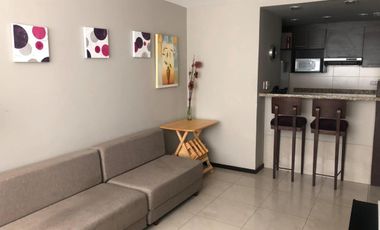 Suite de Alquiler en Elite Building Ciudad del Sol