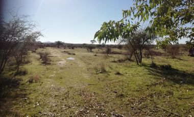 ¡Casa Amoblada con 5.000 m² en Cauquenes! Rol Propio - Paraíso Rural a 5 Min del Río - ¡Oportunidad Única UF 750!