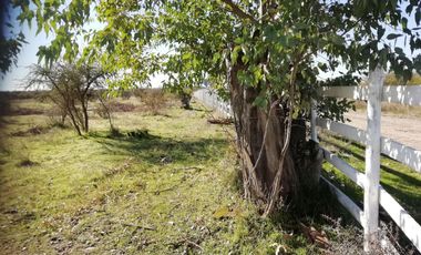 ¡Casa Amoblada con 5.000 m² en Cauquenes! Rol Propio - Paraíso Rural a 5 Min del Río - ¡Oportunidad Única UF 750!