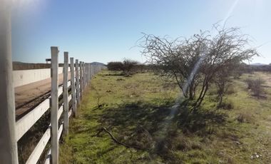 ¡Casa Amoblada con 5.000 m² en Cauquenes! Rol Propio - Paraíso Rural a 5 Min del Río - ¡Oportunidad Única UF 750!