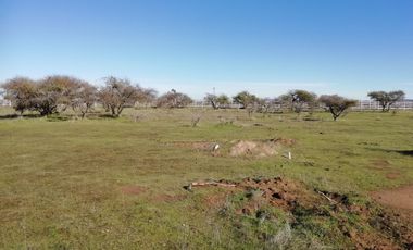 ¡Casa Amoblada con 5.000 m² en Cauquenes! Rol Propio - Paraíso Rural a 5 Min del Río - ¡Oportunidad Única UF 750!