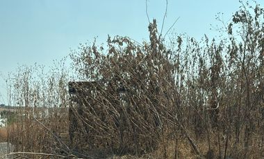 TERRENO EN VENTA EN FRACCIONAMIENTO LOMAS DE COCOYOC MORELOS