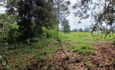 VENTA DE FINCA PARA PARCELACION DE 8.7 HECTAREAS, A 5 MINUTOS DE POPAYAN