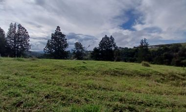 VENTA DE FINCA PARA PARCELACION DE 8.7 HECTAREAS, A 5 MINUTOS DE POPAYAN