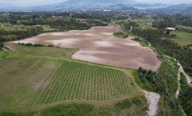 Venta Espectacular Propiedad de 11.932 m2, Cotacachi Imbabura