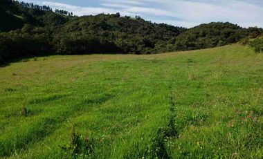 Vendo Hermosa Hacienda Ganadera cerca de Otavalo: 3100 a 3200 msnm
92 has totales