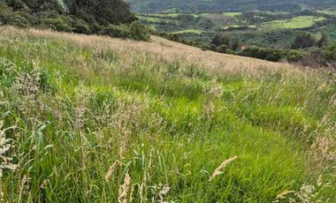 Vendo Hermosa Hacienda Ganadera cerca de Otavalo: 3100 a 3200 msnm
92 has totales