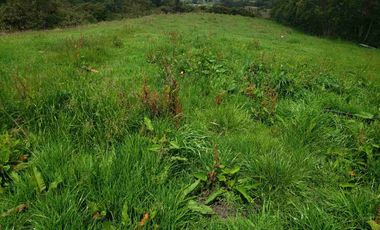 Vendo Hermosa Hacienda Ganadera cerca de Otavalo: 3100 a 3200 msnm
92 has totales