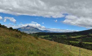 Vendo Hermosa Hacienda Ganadera cerca de Otavalo: 3100 a 3200 msnm
92 has totales