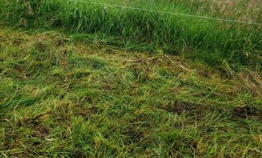 Vendo Hermosa Hacienda Ganadera cerca de Otavalo: 3100 a 3200 msnm
92 has totales