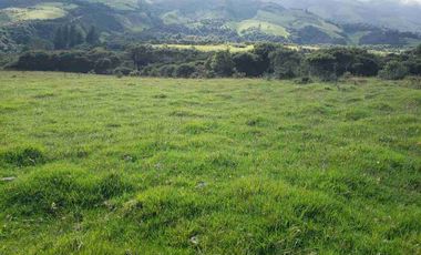 Vendo Hermosa Hacienda Ganadera cerca de Otavalo: 3100 a 3200 msnm
92 has totales