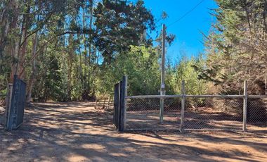 Parcela 6.500 m² con Casa 197 m² y piscina– Algarrobo – Ruta F-90