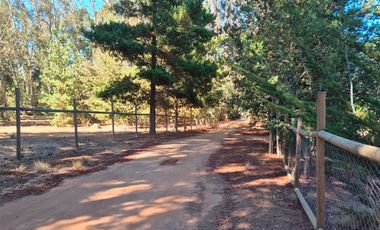 Parcela 6.500 m² con Casa 197 m² y piscina– Algarrobo – Ruta F-90