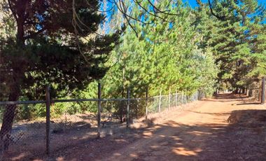 Parcela 6.500 m² con Casa 197 m² y piscina– Algarrobo – Ruta F-90