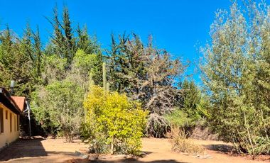 Parcela 6.500 m² con Casa 197 m² y piscina– Algarrobo – Ruta F-90