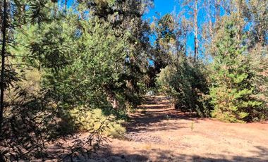 Parcela 6.500 m² con Casa 197 m² y piscina– Algarrobo – Ruta F-90