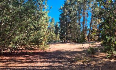 Parcela 6.500 m² con Casa 197 m² y piscina– Algarrobo – Ruta F-90