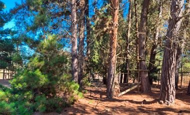 Parcela 6.500 m² con Casa 197 m² y piscina– Algarrobo – Ruta F-90