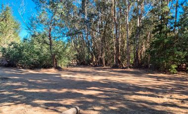 Parcela 6.500 m² con Casa 197 m² y piscina– Algarrobo – Ruta F-90