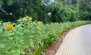 For Sale Apartment Semi Furnished in KemangJaya  Greenery Apartment South Jakarta