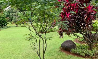 For Sale Apartment Semi Furnished in KemangJaya  Greenery Apartment South Jakarta