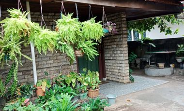 Rumah Perlu Renov Dekat Neo Soho di Grogol Jakbar DR-17843