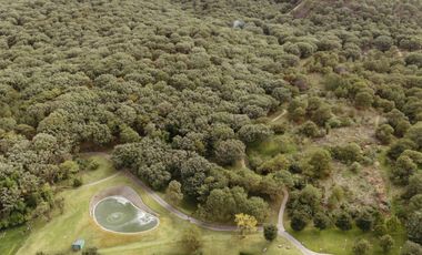Departamento en Renta Vallarta y Periferico