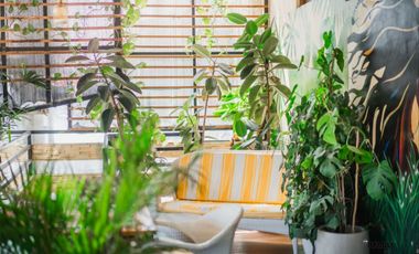 Over Kontrak Restoran Premium di Berawa, Canggu Area