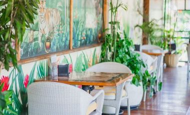 Over Kontrak Restoran Premium di Berawa, Canggu Area