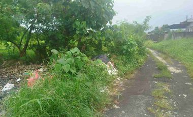 tanah gustiwa cekomaria Denpasar bali