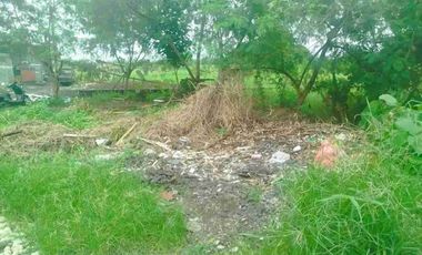 tanah gustiwa cekomaria Denpasar bali