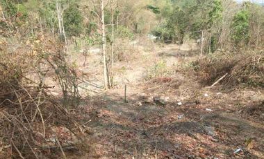 Dijual Tanah Murah di Srimulyo Piyungan Bantul