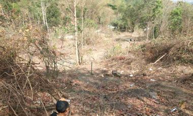 Dijual Tanah Murah di Srimulyo Piyungan Bantul
