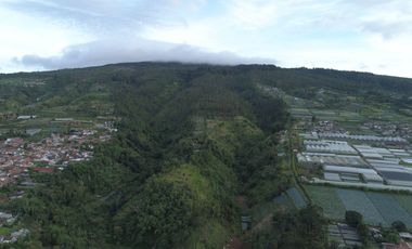 Kavling Resort Lembang luas 100000m Bandung Barat