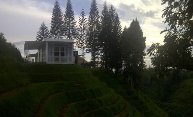 Kavling Resort Lembang luas 100000m Bandung Barat