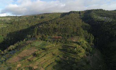 Kavling Resort Lembang luas 100000m Bandung Barat