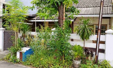 Rungkut Menanggal Harapan Disewakan Murah Besar Strategis