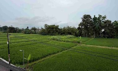 Rumah Mewah View Sawah dan Gunung Merapi