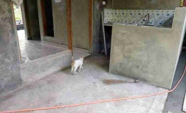 rumah dijual rugi dekat pasar tempel
