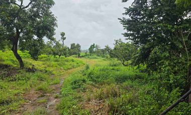 Pasuruan, lahan kuning siap bangun, nol jalan