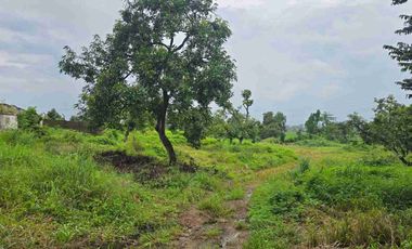 Pasuruan, lahan kuning siap bangun, nol jalan