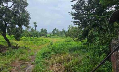 Pasuruan, lahan kuning siap bangun, nol jalan