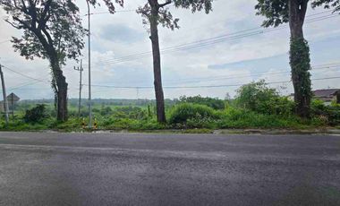 Pasuruan, lahan kuning siap bangun, nol jalan