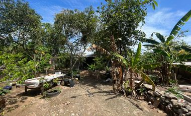 Tanah Lokasi Di Kampial Nusa Dua Dekat Tol dan Poltekpar Nusa Dua