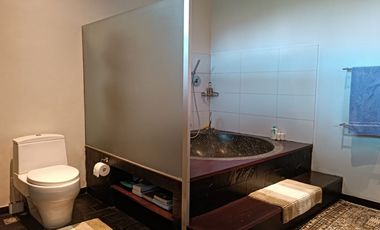 Exclusive 4 Bedroom Freehold Villa with Japanese Inspired