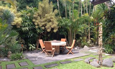 Exclusive 4 Bedroom Freehold Villa with Japanese Inspired