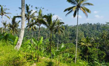 jual tanah kerta payangan dekat Ubud